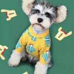 Pet cactus sweater