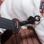 Pet Car Safety Buckle Car Accessories Holder