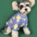 Pet cactus sweater