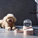 Automatic Pet Water Bowl