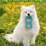 Pet Supplies Interactive Teeth Grinding Machine Pet Toys Pull Ring Dog Chewing Toys Pet Chewing Toys Toys Teeth Grinding Stick