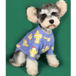 Pet cactus sweater