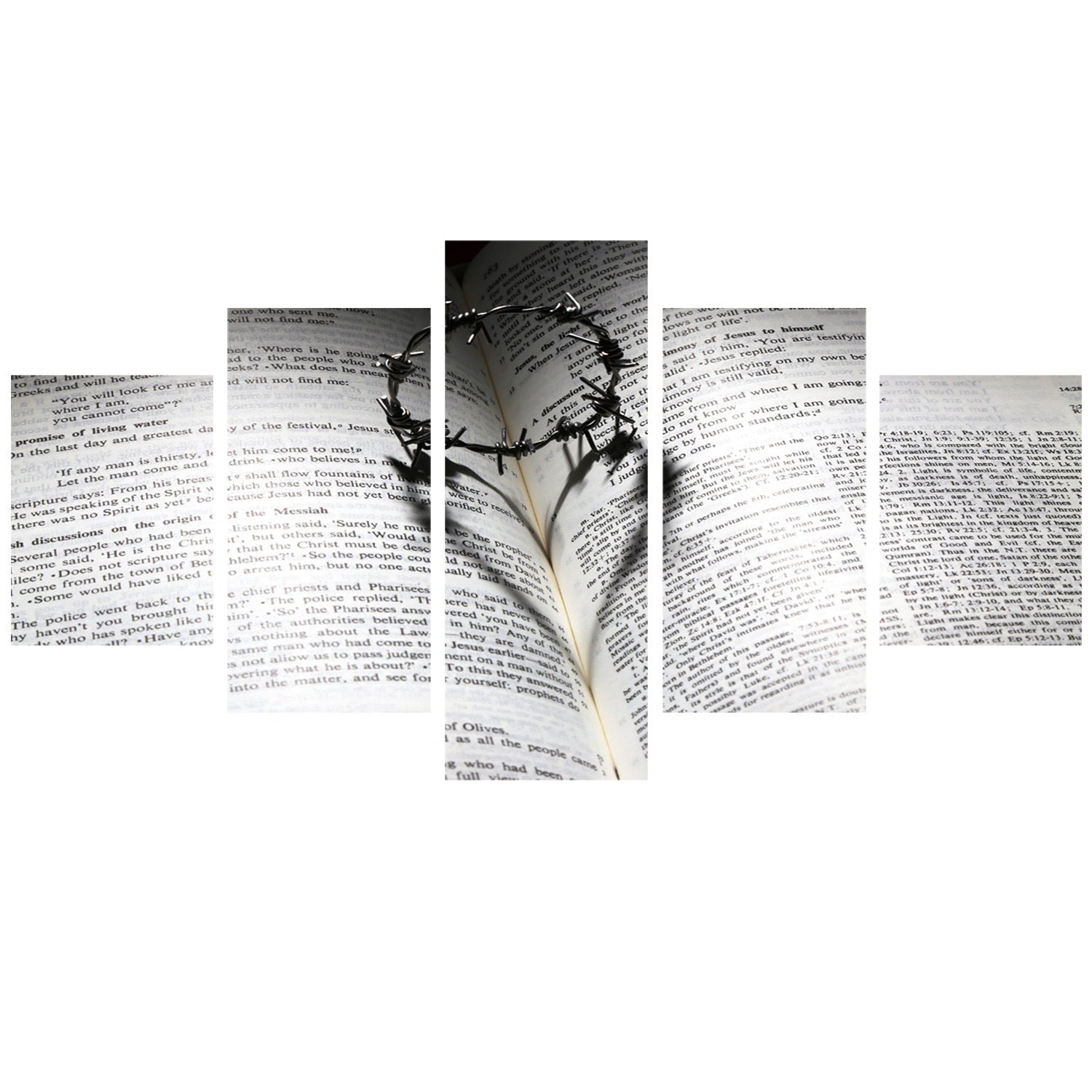 Teach The Crown Bible Decoration Canvas Painting